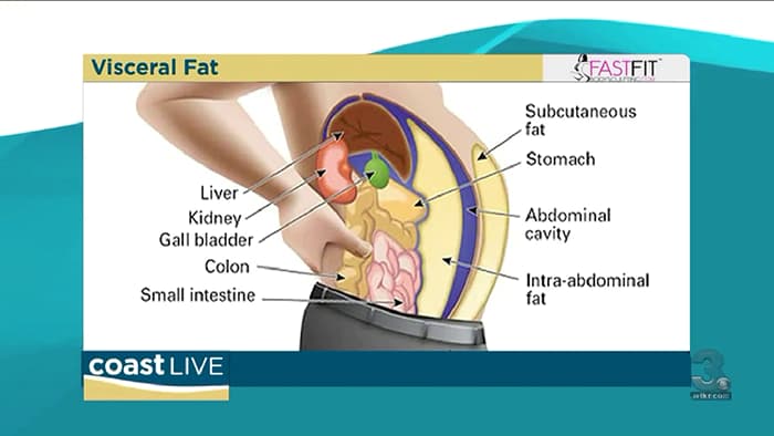 What is visceral fat